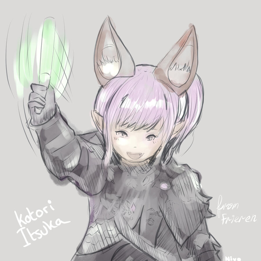 Moonfire faire event Aug. 2024